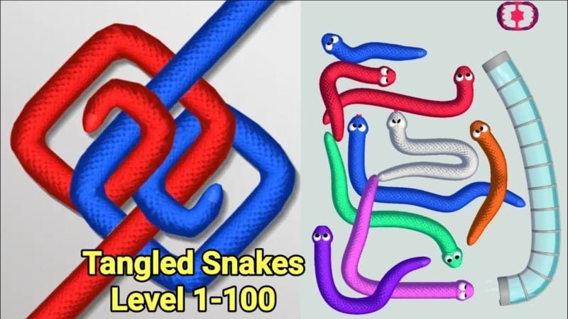 Tangled Snakes