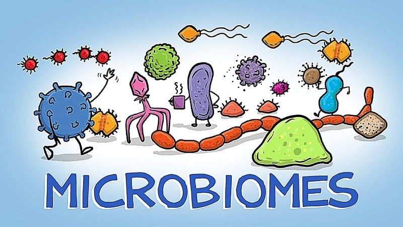 World of Microbes